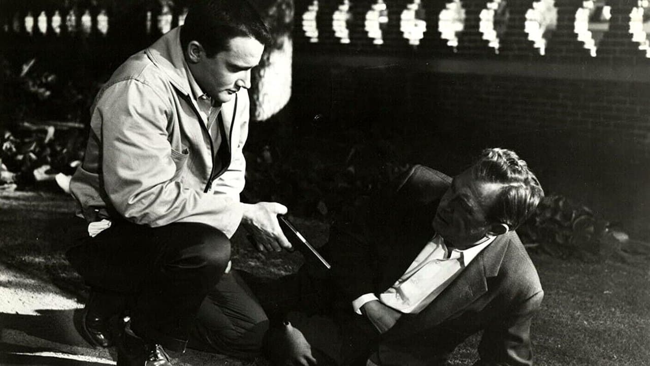 No Time to Be Youngの背景画像