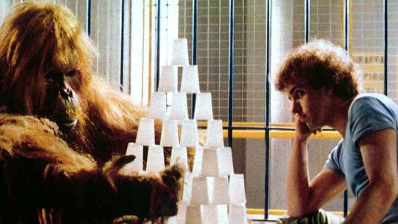 Noccioline a colazioneの背景画像