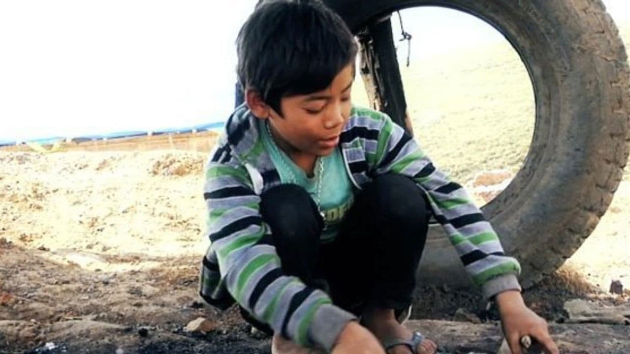 Fireflies in the Abyssの背景画像