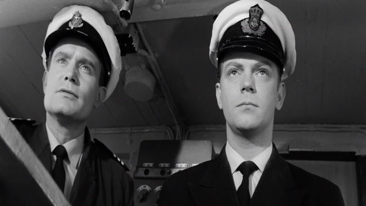 Sorte Sharaの背景画像