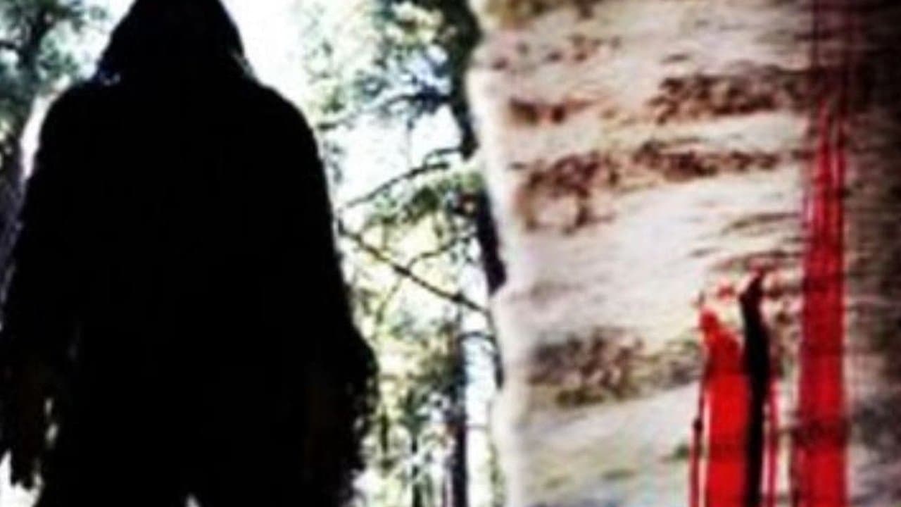 Sasquatch Mountainの背景画像