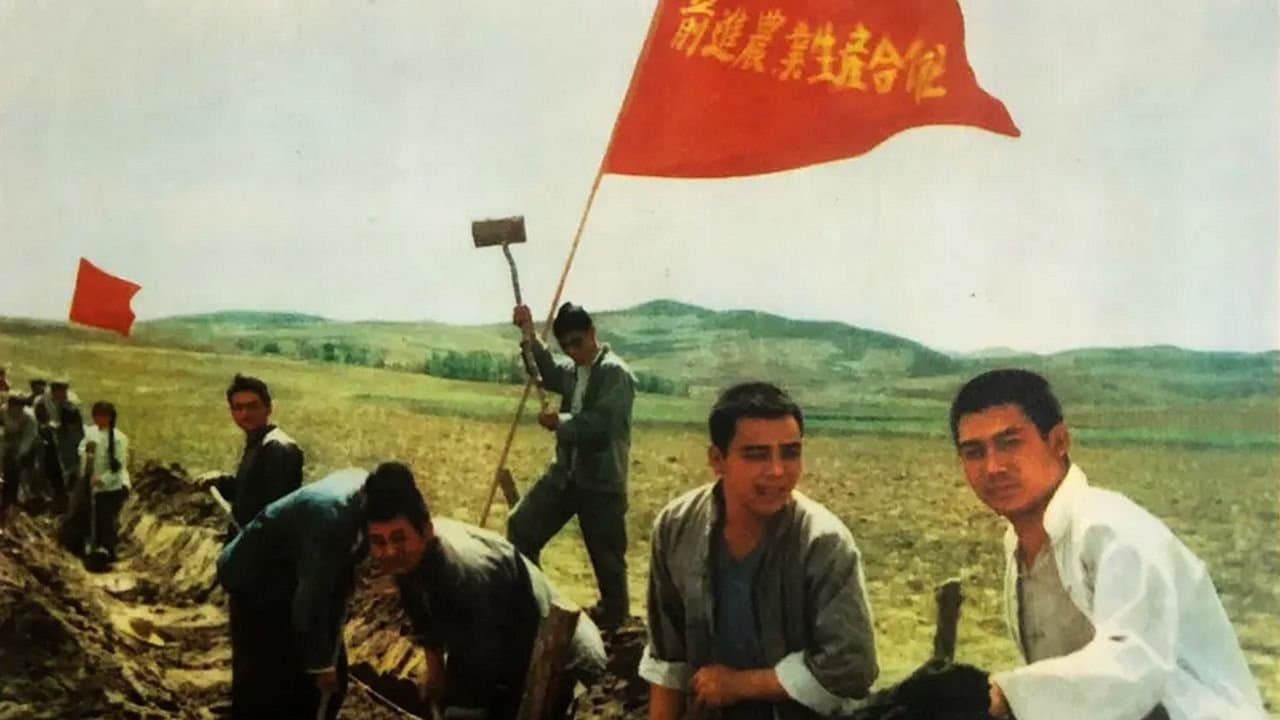 金光大道（中集）の背景画像