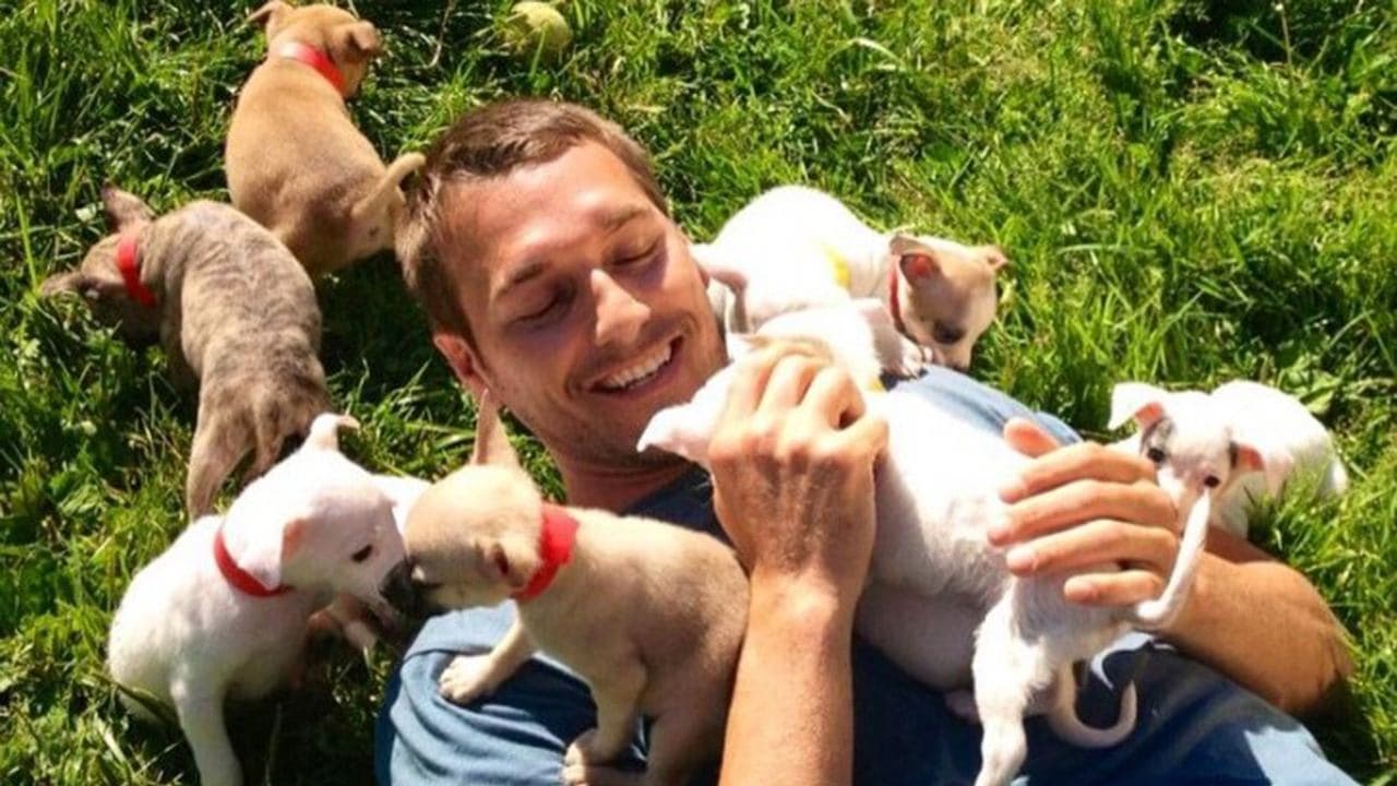 Lucky Dogの背景画像