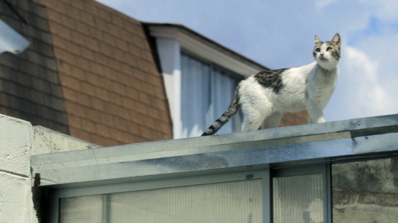 Viejos Malditosの背景画像