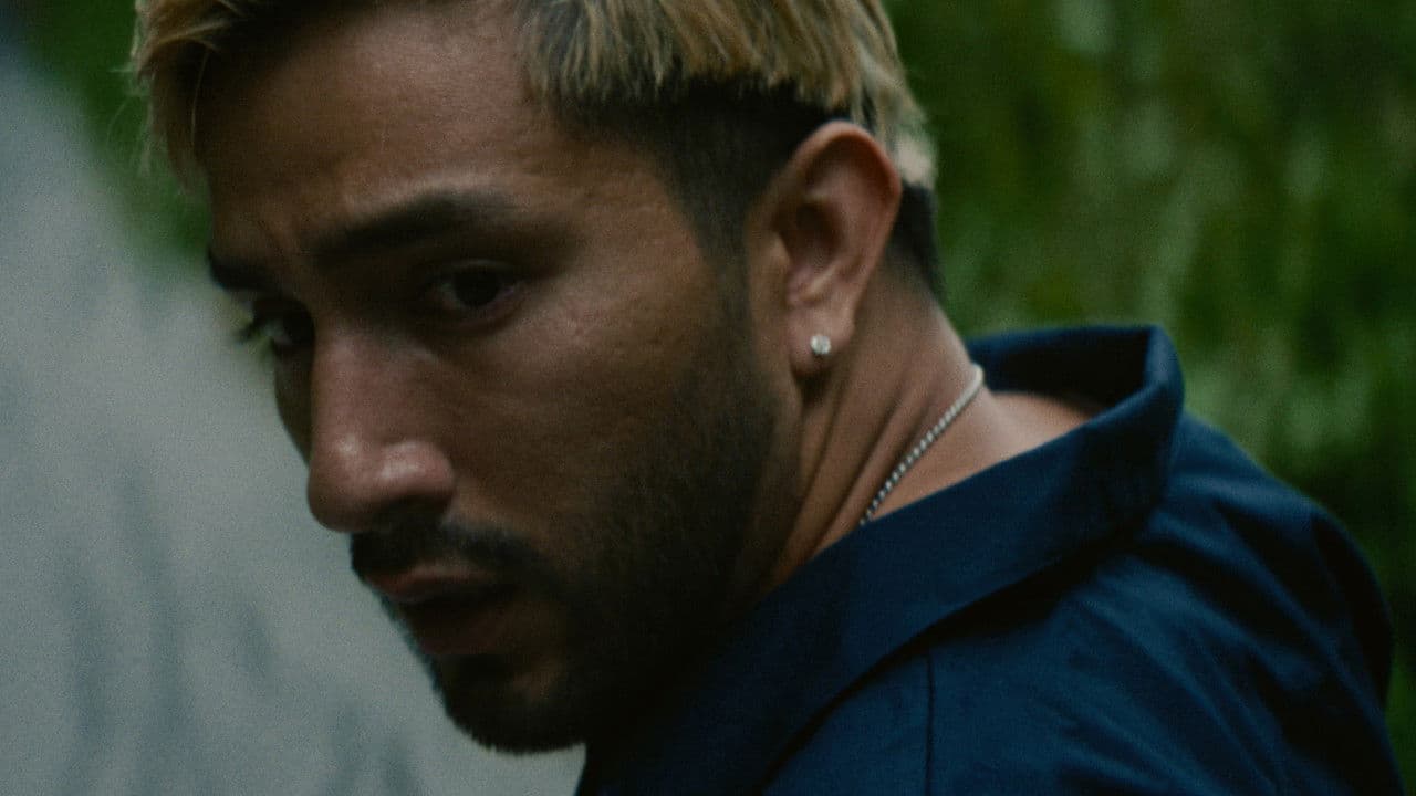 Sigalの背景画像