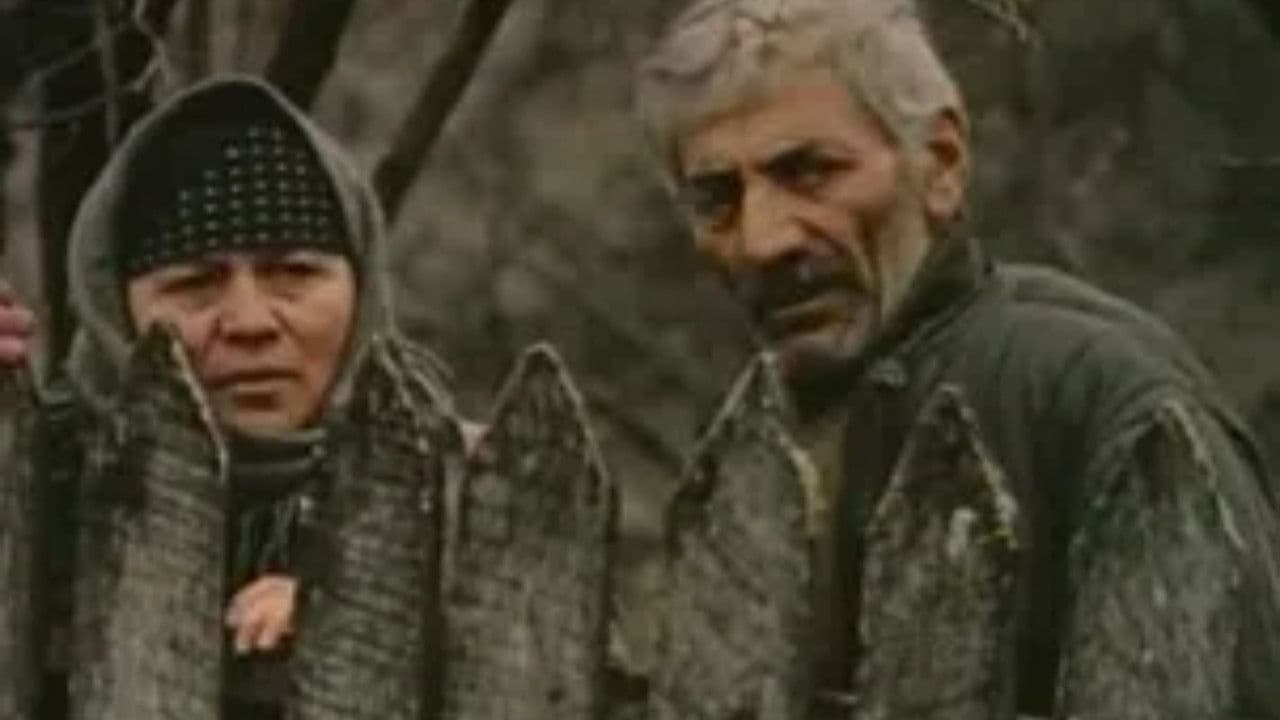 სტუმარიの背景画像