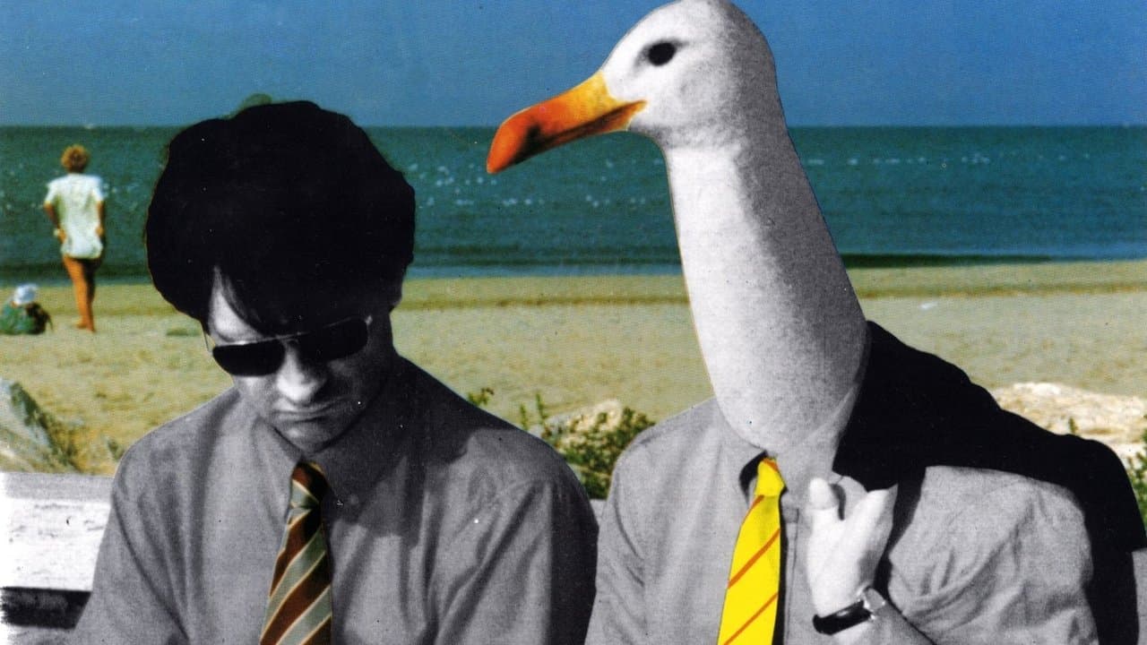 Bonus Malusの背景画像