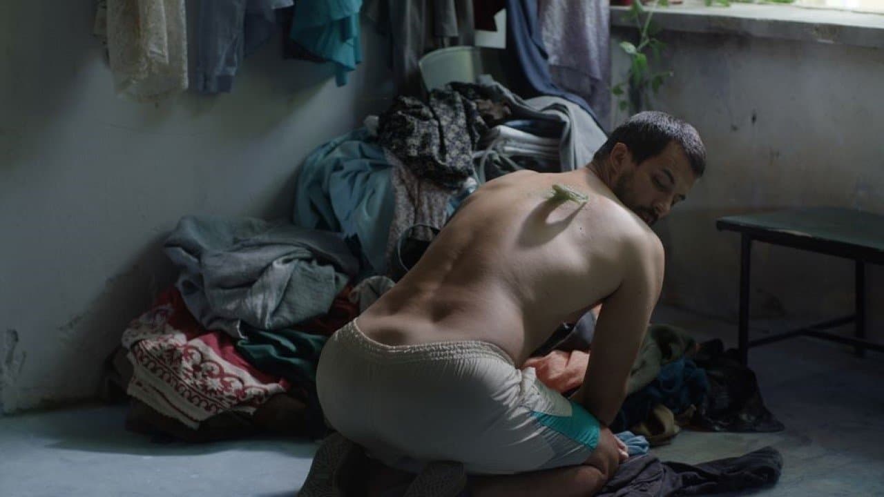 Linije željeの背景画像