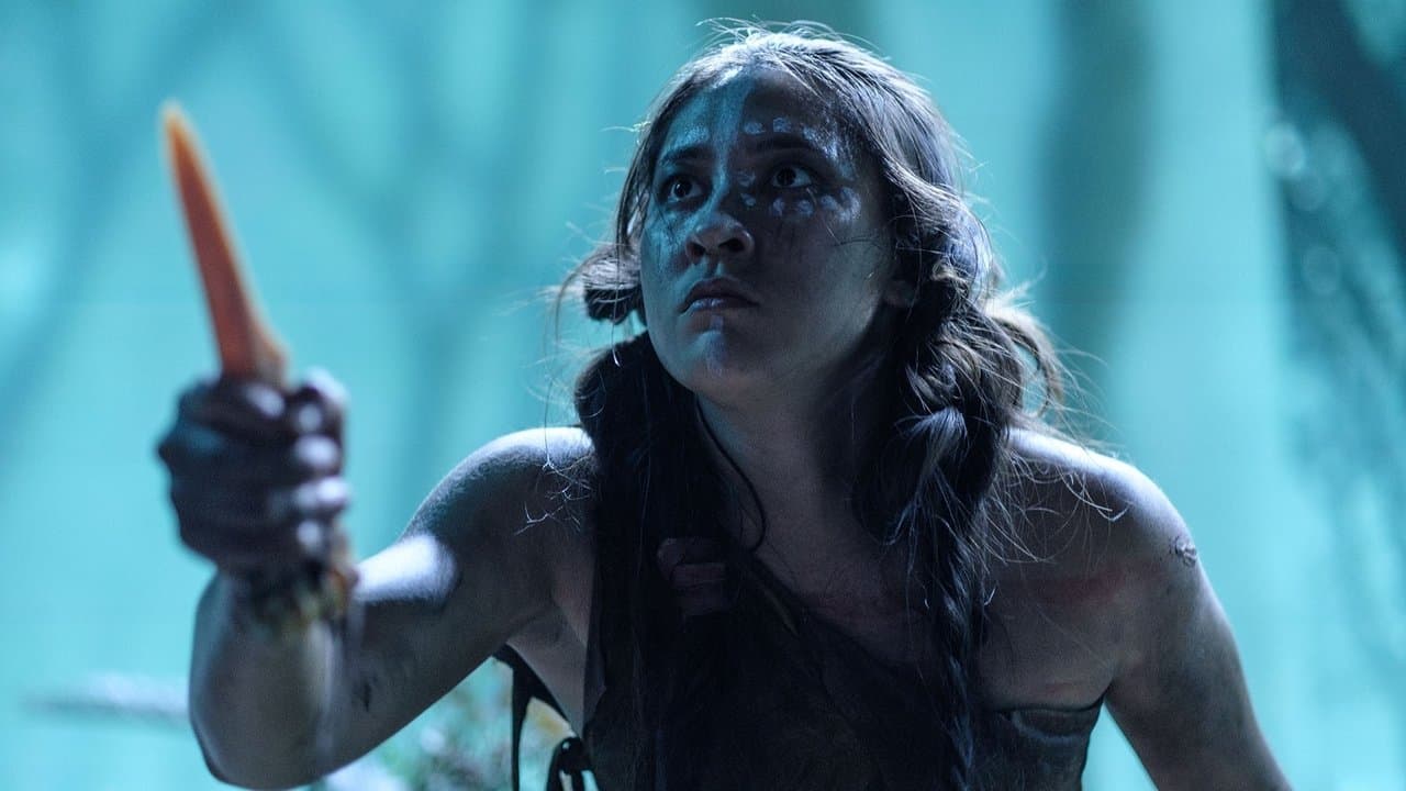 The Lion and the Firebirdの背景画像