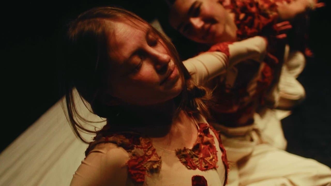 Match in a Haystackの背景画像