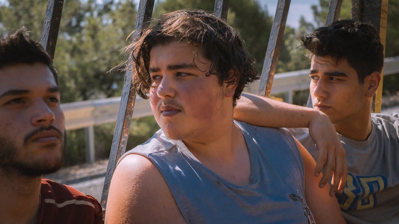 Zomerbroedersの背景画像