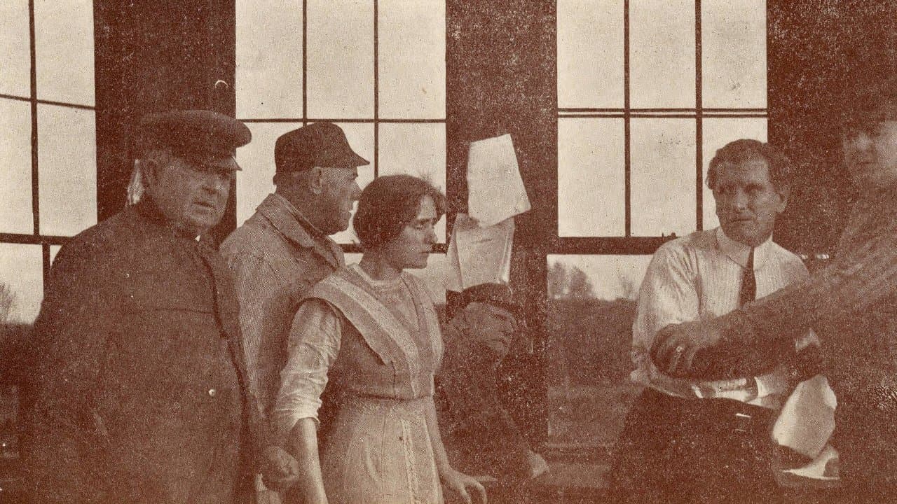 The False Orderの背景画像