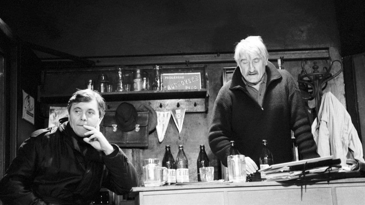 Audienceの背景画像