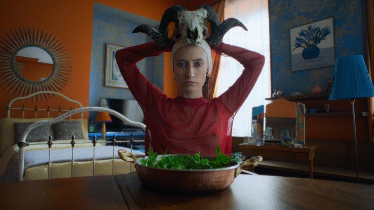 Naktinis seansasの背景画像