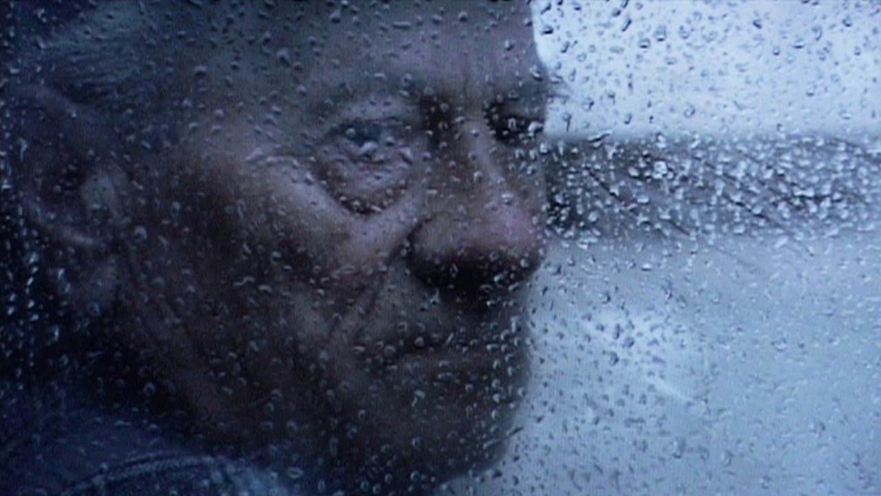 Das Summen der Insektenの背景画像