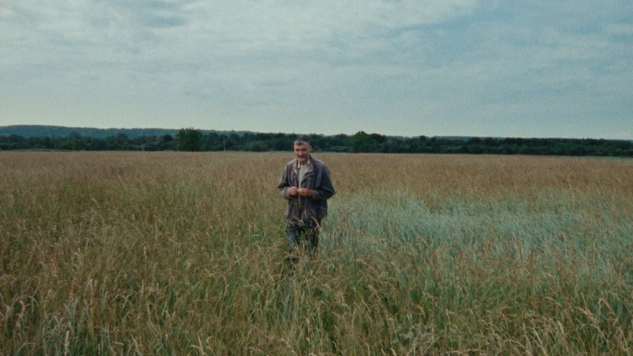 Sept promenades avec Mark Brownの背景画像