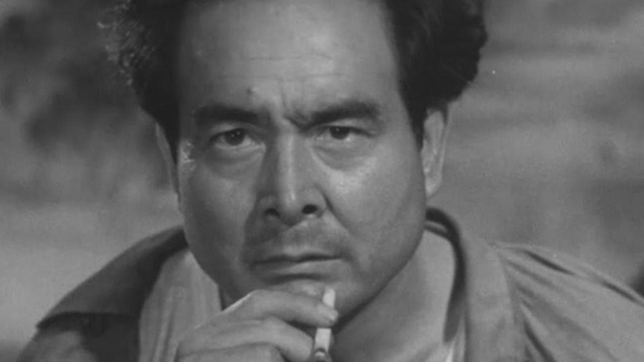 海の花火の背景画像