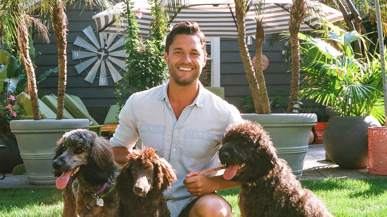 Ready, Set, Petの背景画像