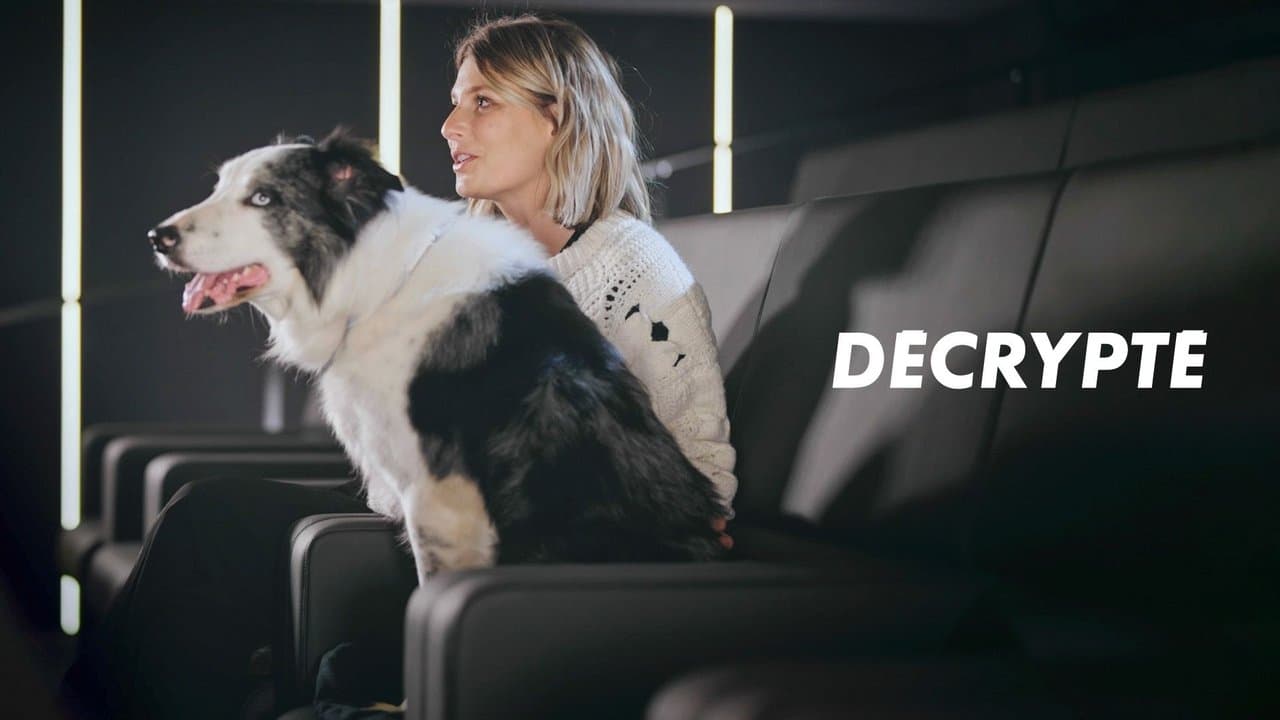 Décryptéの背景画像