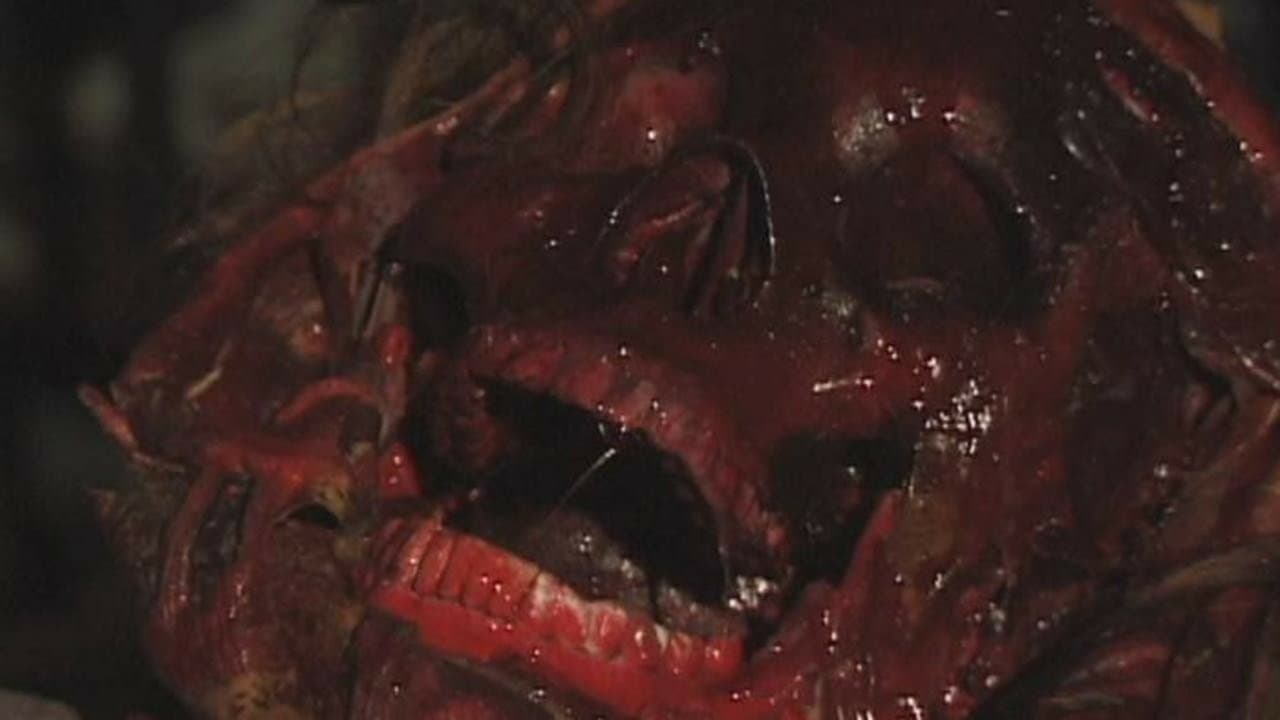 Bone Sicknessの背景画像