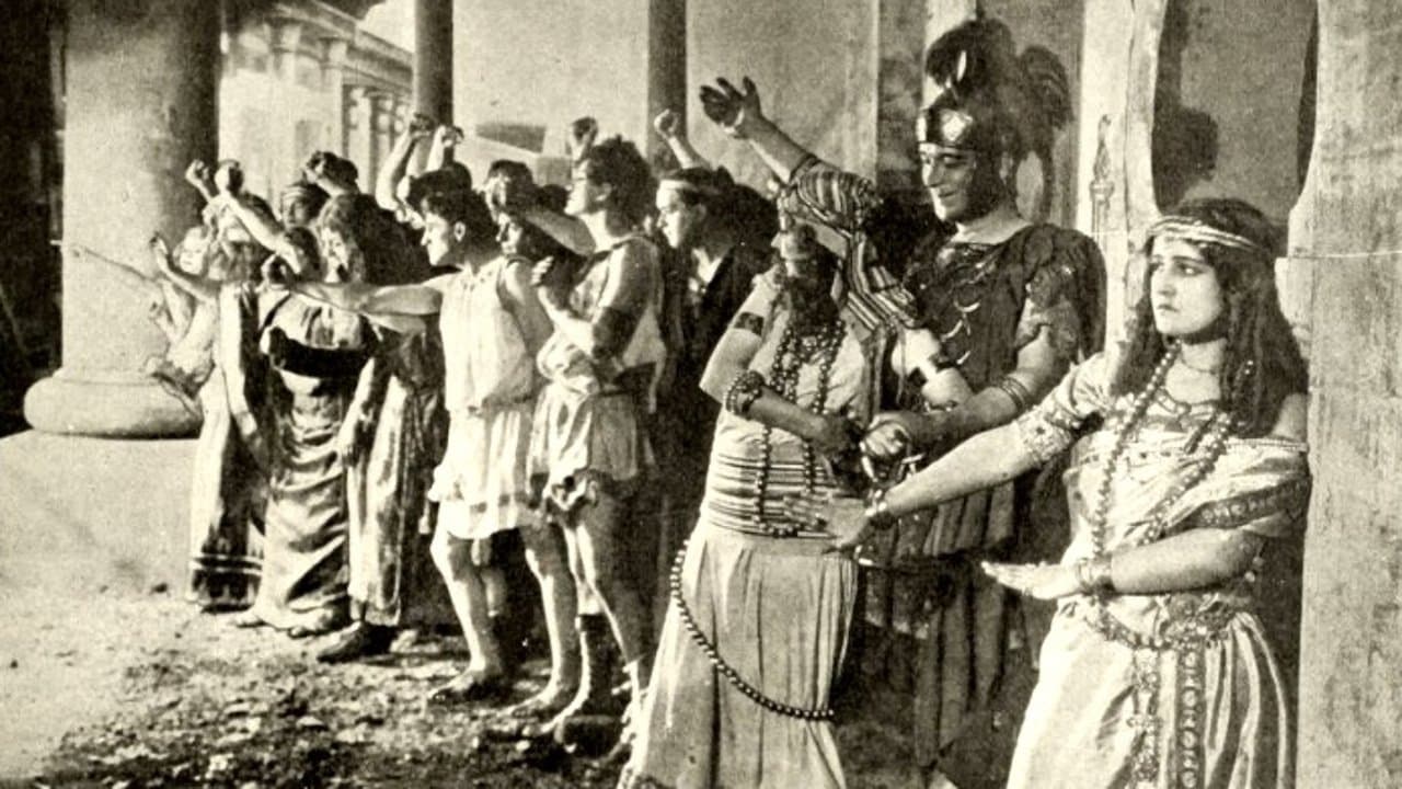 The Illuminationの背景画像