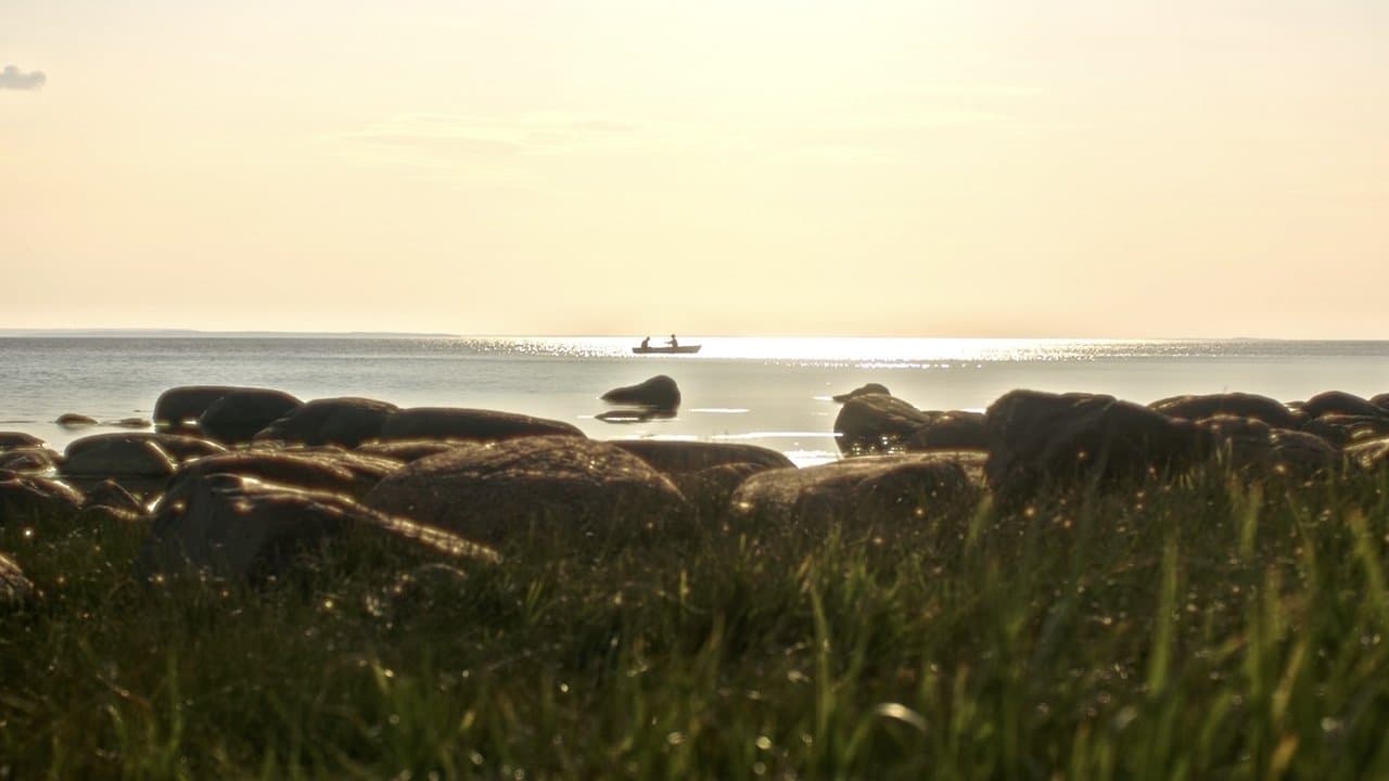 Palveの背景画像