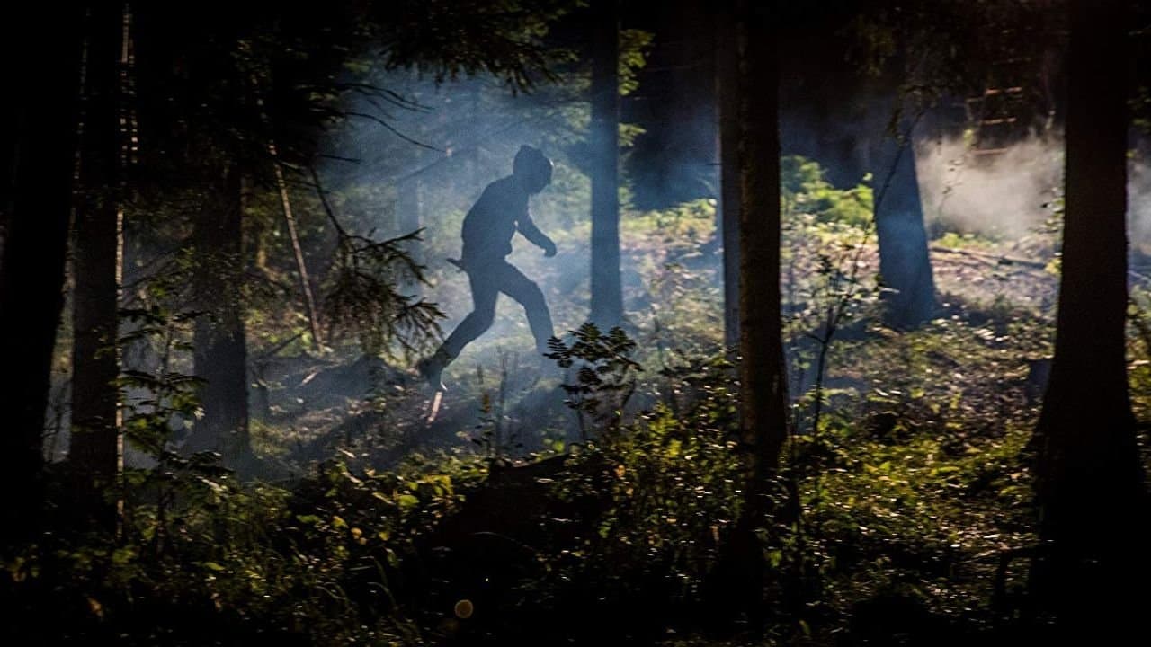 The Cabinの背景画像