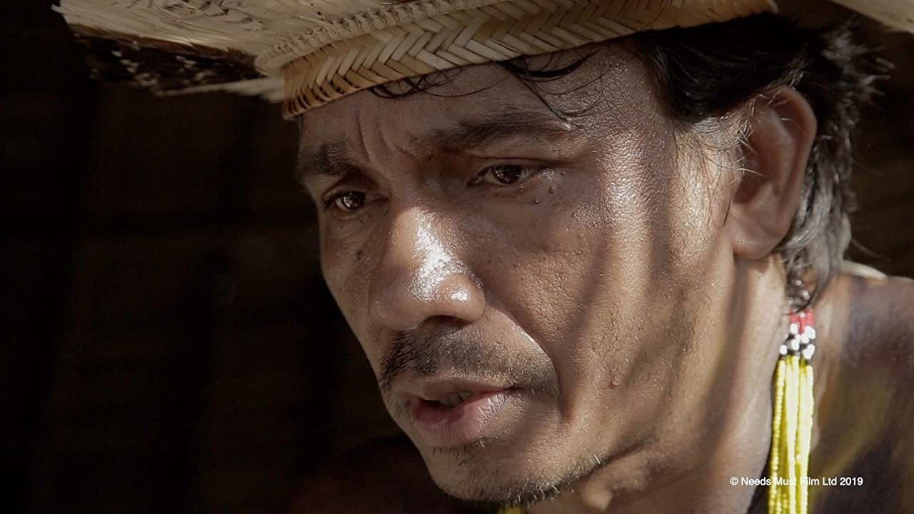 Meu Sangue é Vermelhoの背景画像