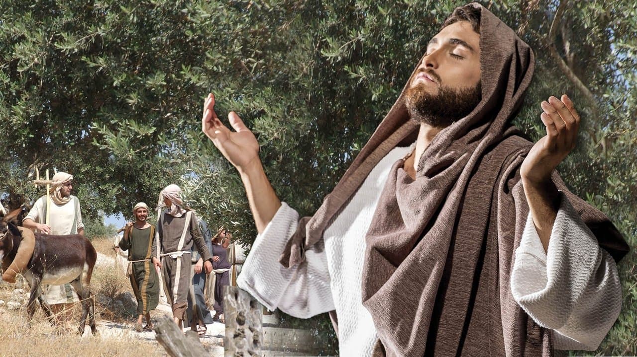 Where Jesus Walkedの背景画像