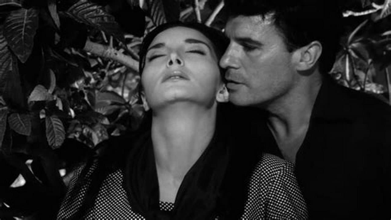 María Rosaの背景画像