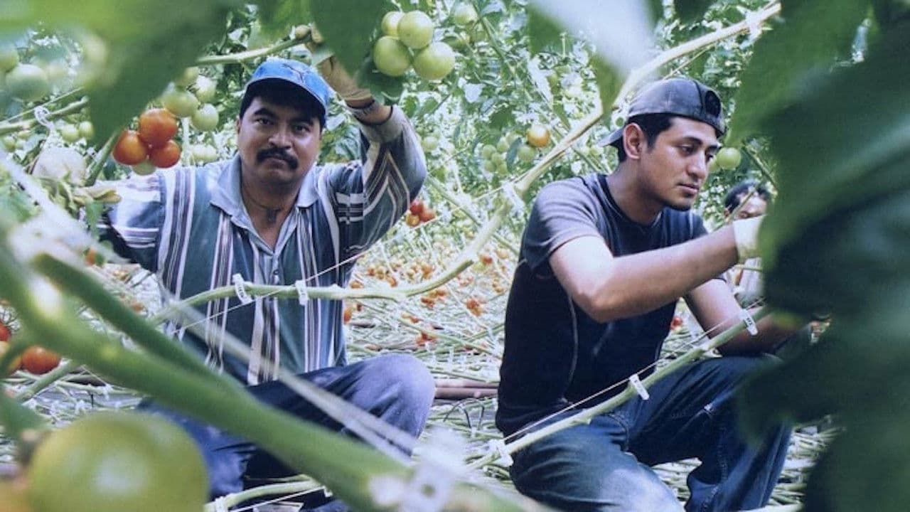 El Contratoの背景画像