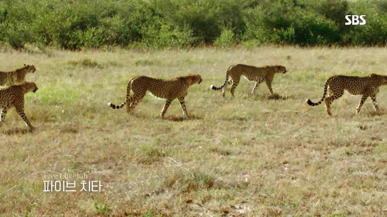 라이프 오브 사만다の背景画像