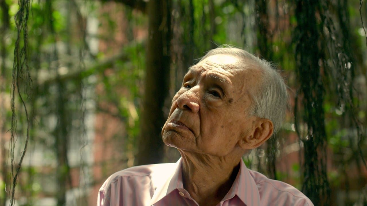 月亮 樹の背景画像