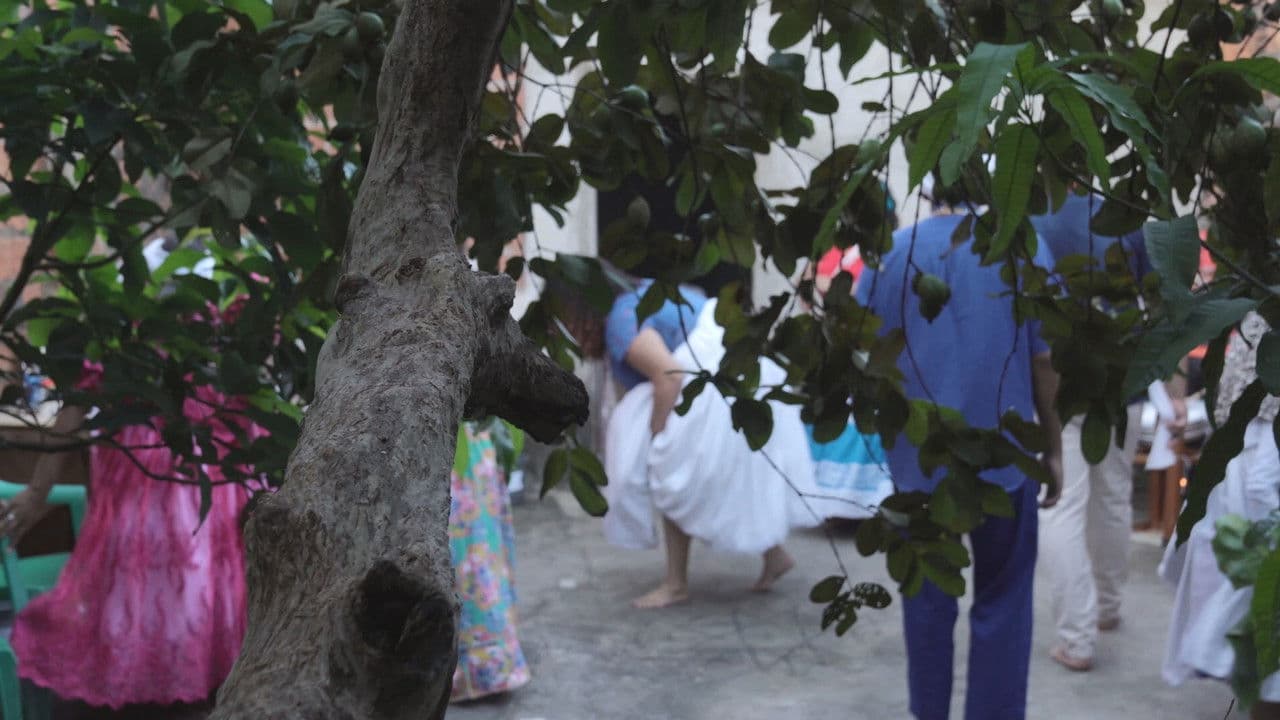 Selado em Cicatrizの背景画像