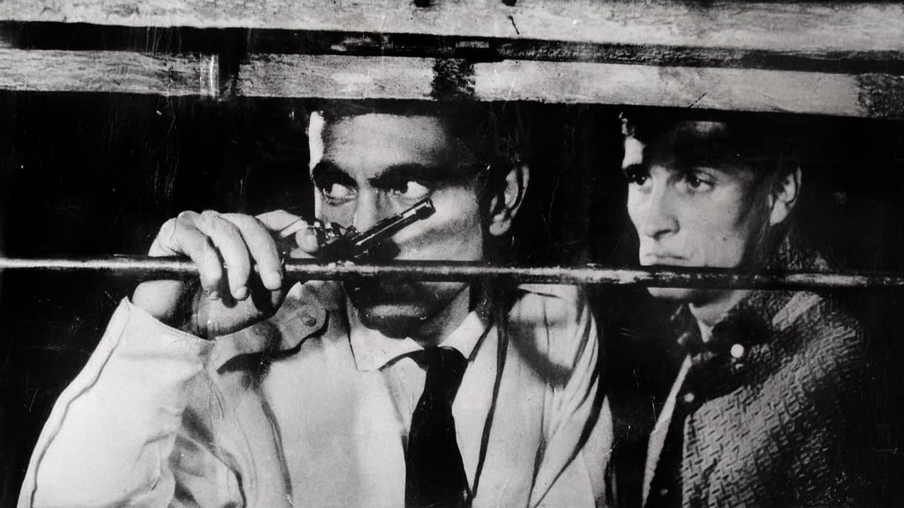 Zımba Gibi Delikanlıの背景画像