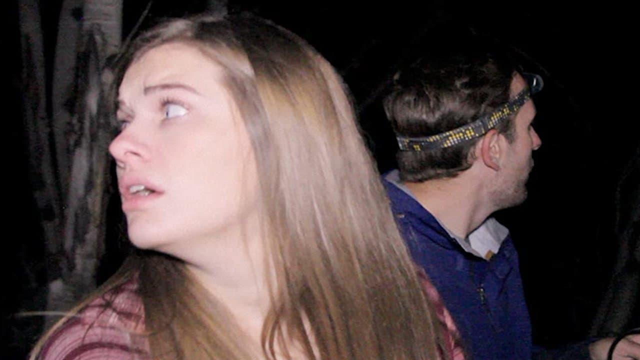 She Walks the Woodsの背景画像