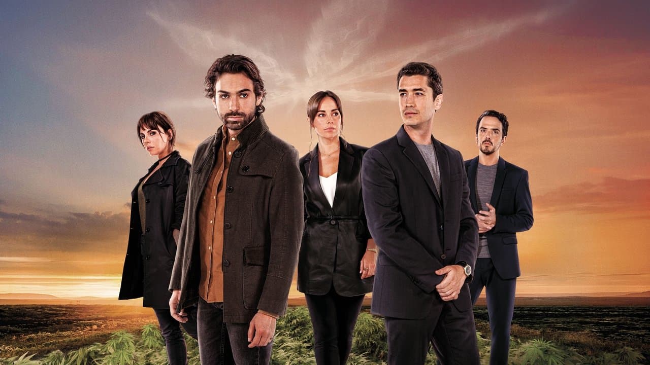 MalaYerbaの背景画像