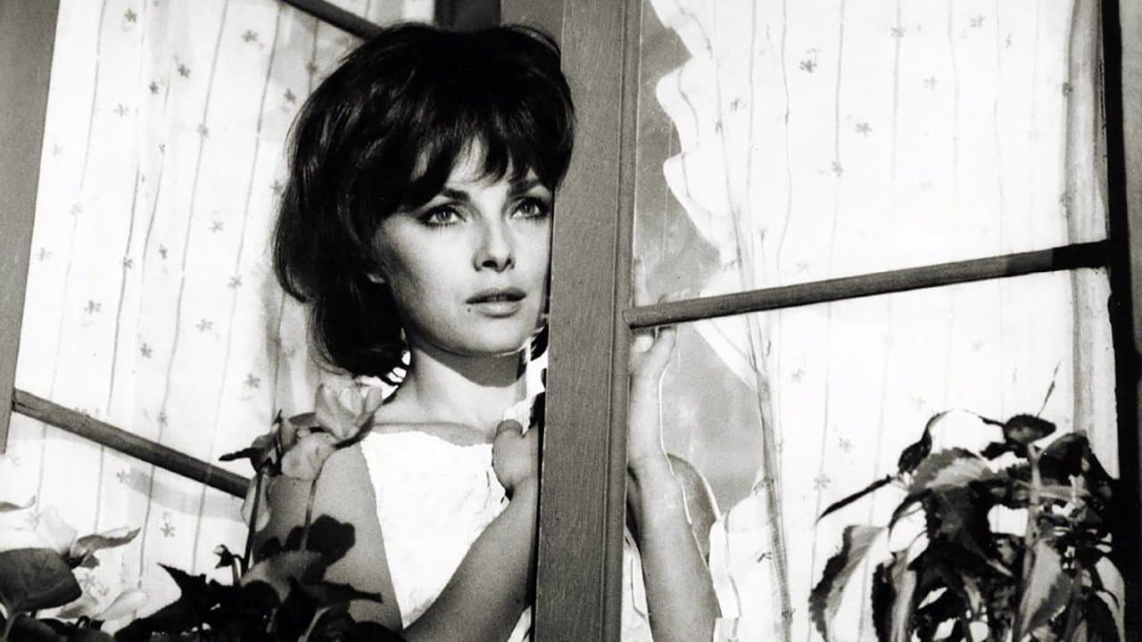 蜜がいっぱいの背景画像