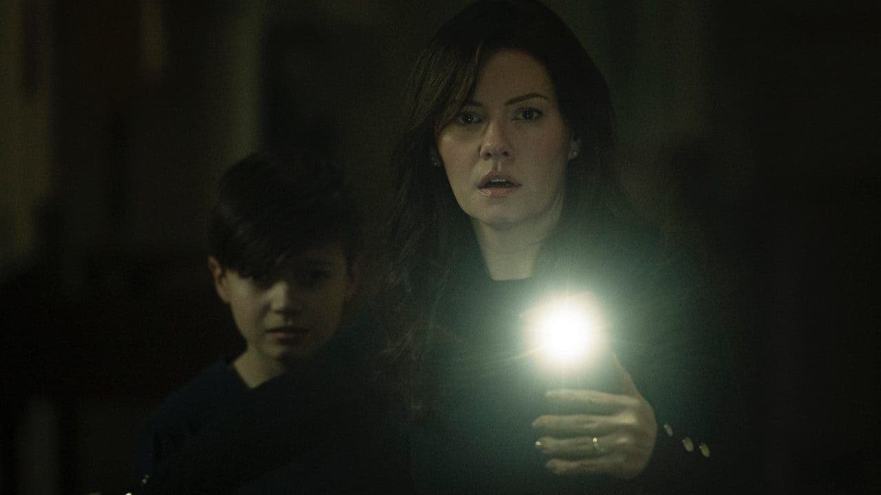 The Cellarの背景画像