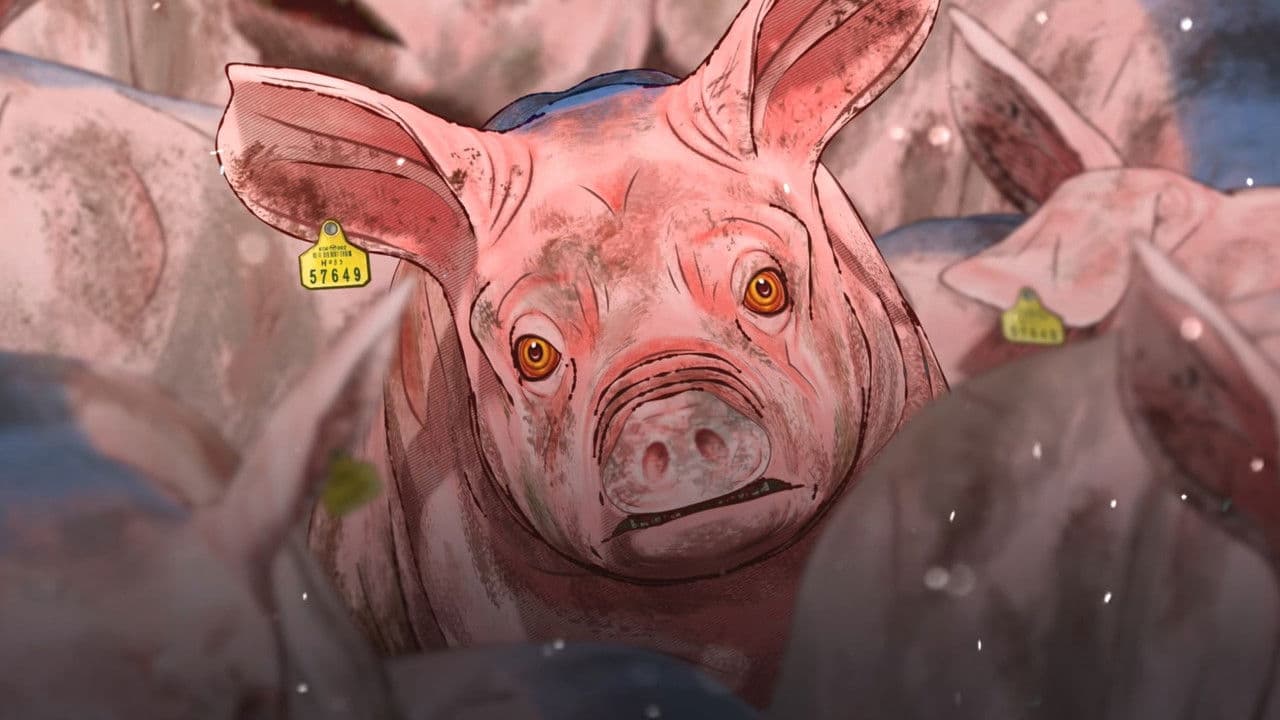 구제역에서 살아 돌아온 돼지の背景画像