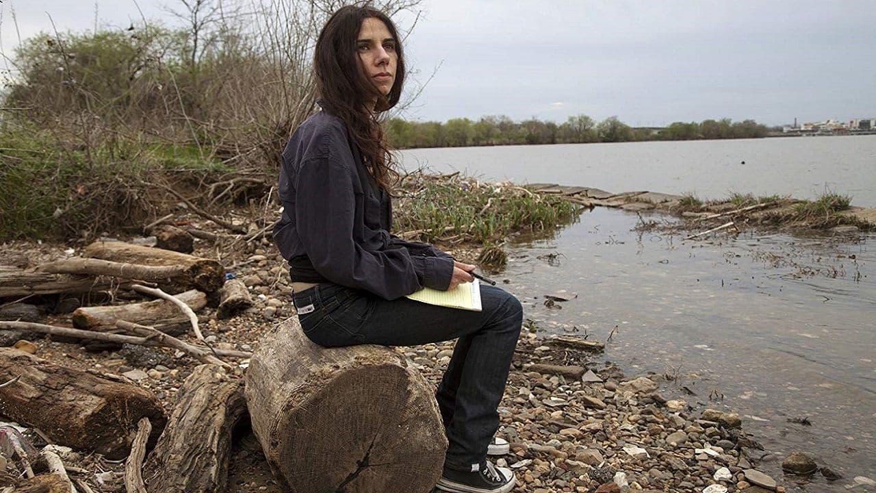 A Dog Called Moneyの背景画像