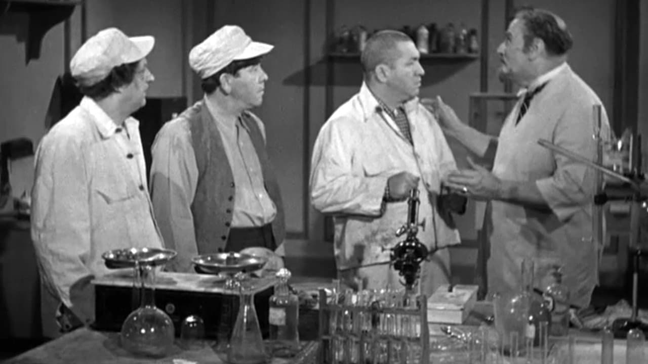 A Bird in the Headの背景画像