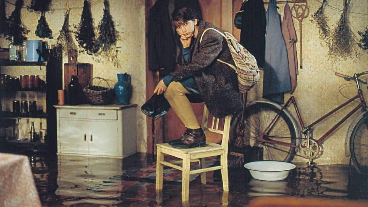 Orbis Pictusの背景画像