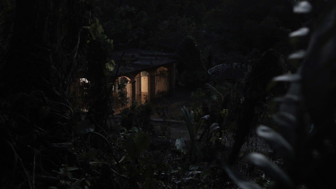 Desvío de nocheの背景画像