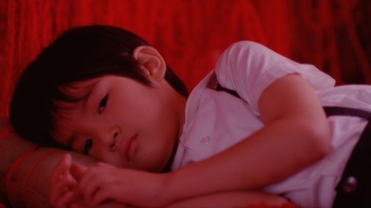 아카시아の背景画像