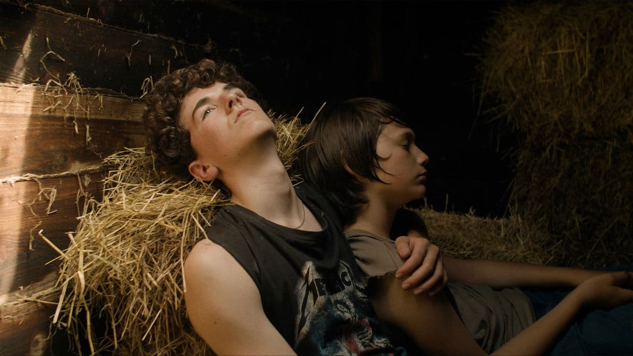 We Don't Want Them To Get Madの背景画像