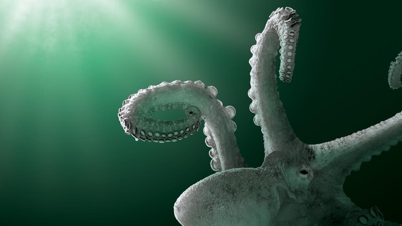 Aliens of the Deep Seaの背景画像