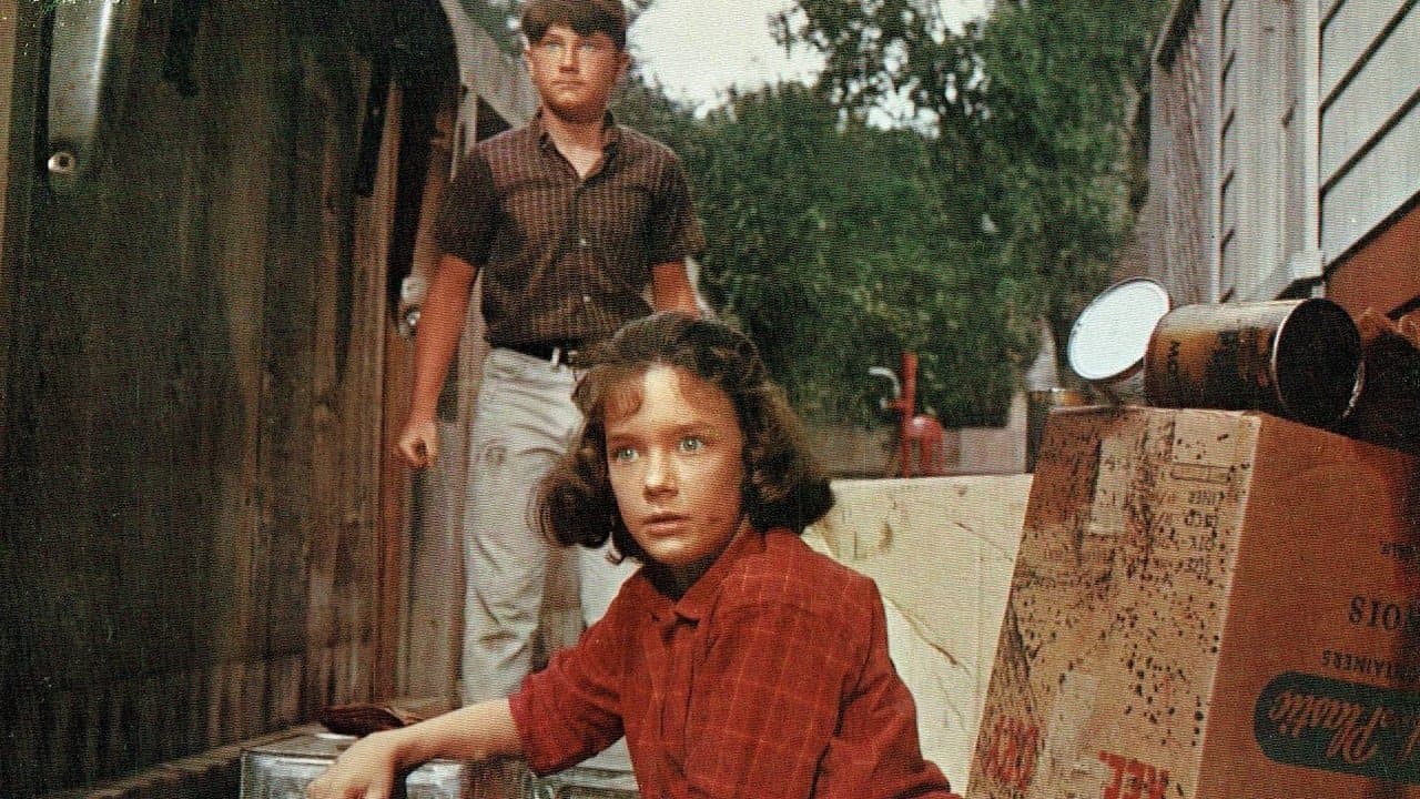 A Tiger Walksの背景画像