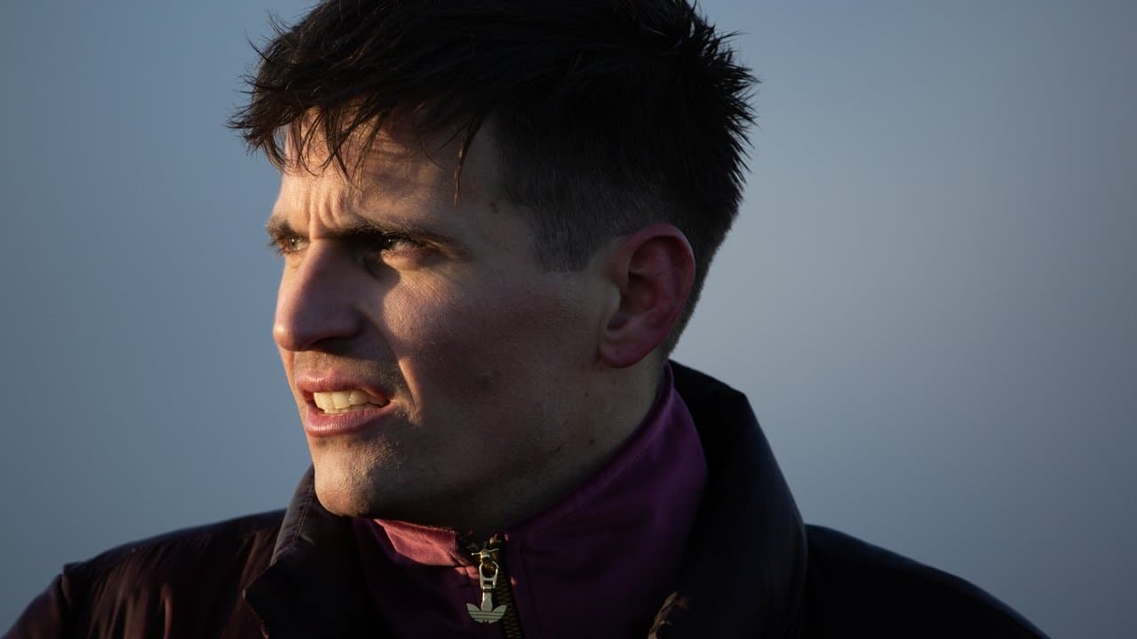 のら犬の背景画像