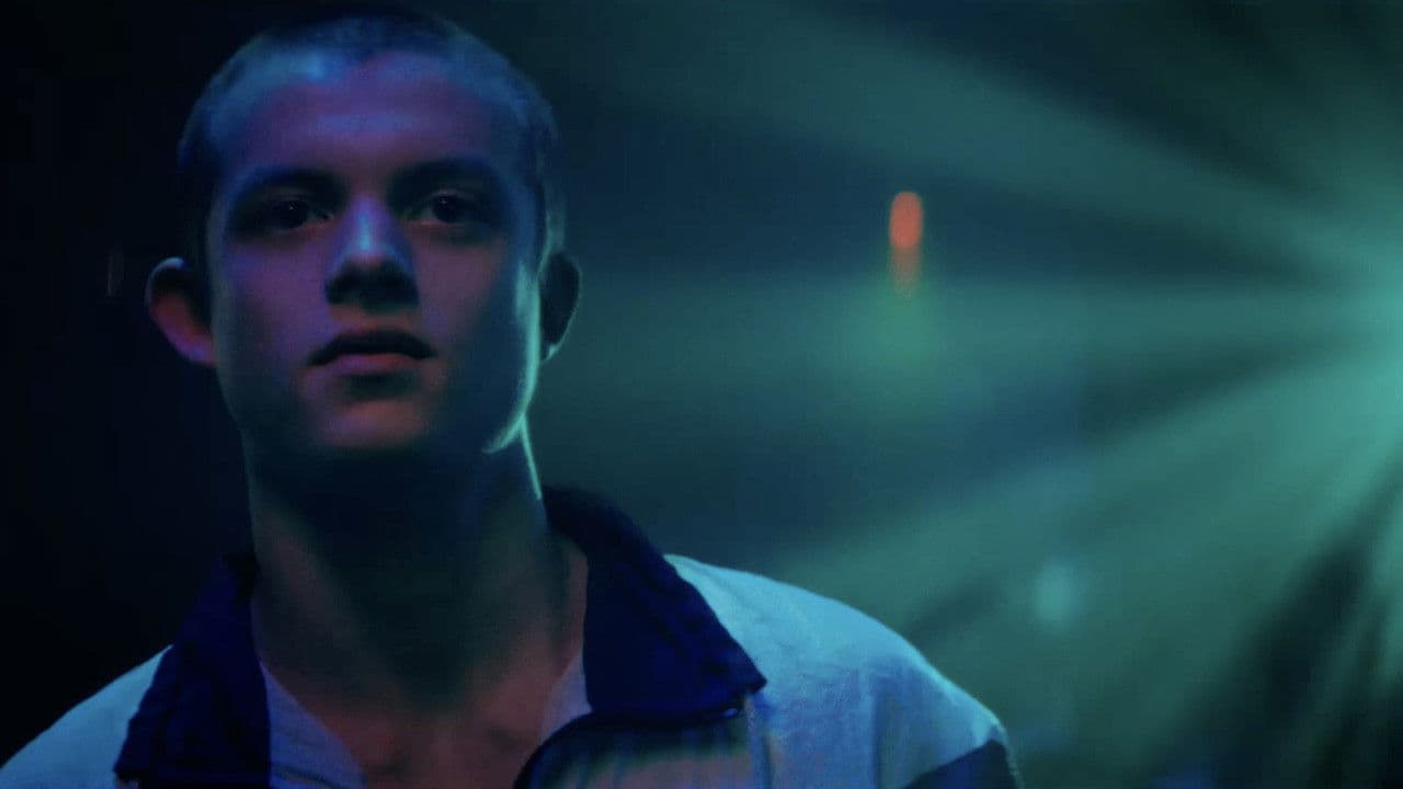 Cicadaの背景画像